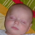 DSCF2396-800.jpg