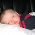 DSCF3377-800.jpg