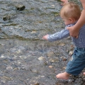 DSCF3795-800.jpg