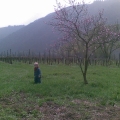 20090405-005.jpg