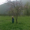 20090405-006.jpg