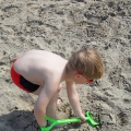 sam_0887