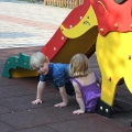 sam_0955
