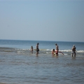 sam_1023