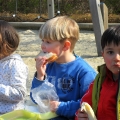 sam_0073