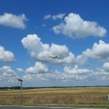 sam_1466