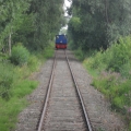 sam_1498