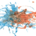 schilderij2.jpg