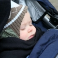 IMG_1289-800.jpg