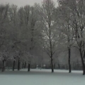 12-17-09_1554